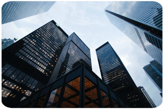 Organisational Consulting